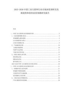 2025-2030中國工業(yè)互聯(lián)網(wǎng)行業(yè)市場深度調(diào)研及發(fā)展趨勢和投資前景預(yù)測研究報告