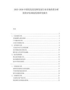 2025-2030中國發(fā)發(fā)是發(fā)財發(fā)家行業(yè)市場供需分析投資評估規(guī)劃發(fā)展研究報告