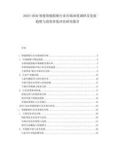 2025-2030智能智能船舶行業(yè)市場深度調(diào)研及發(fā)展趨勢與投資價(jià)值評估研究報(bào)告