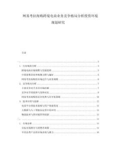 網(wǎng)易考拉海購跨境電商業(yè)務(wù)競(jìng)爭(zhēng)格局分析投資環(huán)境規(guī)劃研究