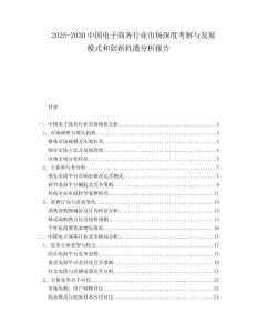 2025-2030中國電子商務(wù)行業(yè)市場深度考察與發(fā)展模式和創(chuàng)新機遇分析報告