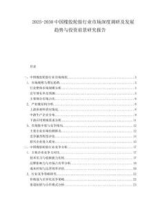 2025-2030中國(guó)橡膠輪胎行業(yè)市場(chǎng)深度調(diào)研及發(fā)展趨勢(shì)與投資前景研究報(bào)告