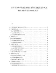 2025-2030中國冶金鋼鐵行業(yè)市場(chǎng)現(xiàn)狀供需分析及投資評(píng)估規(guī)劃分析研究報(bào)告