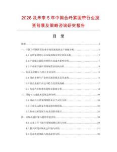 2026及未來5年中國合纖緊固帶行業投資前景及策略咨詢研究報告