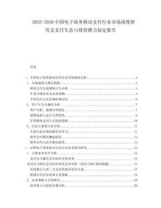 2025-2030中國電子商務(wù)移動支付行業(yè)市場深度研究及支付生態(tài)與投資潛力劃定報告