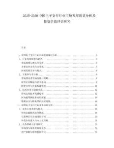 2025-2030中國(guó)電子支付行業(yè)市場(chǎng)發(fā)展現(xiàn)狀分析及投資價(jià)值評(píng)估研究
