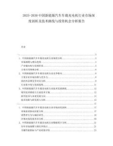 2025-2030中國新能源汽車車載充電機(jī)行業(yè)市場(chǎng)深度剖析及技術(shù)路線與投資機(jī)會(huì)分析報(bào)告