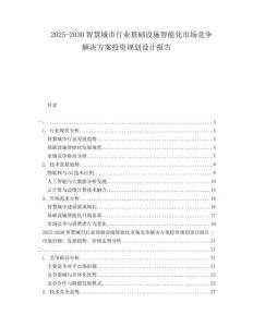 2025-2030智慧城市行業(yè)基礎(chǔ)設(shè)施智能化市場(chǎng)競(jìng)爭(zhēng)解決方案投資規(guī)劃設(shè)計(jì)報(bào)告