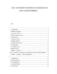 2025-2030智能停車管理系統(tǒng)行業(yè)市場發(fā)展分析及投資與發(fā)展前景預(yù)測報告