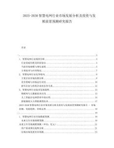 2025-2030智慧電網(wǎng)行業(yè)市場發(fā)展分析及投資與發(fā)展前景預(yù)測研究報(bào)告