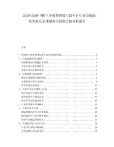 2025-2030中國電子商務(wù)跨境電商平臺行業(yè)市場深度考察及全球服務(wù)與投資價值分析報告