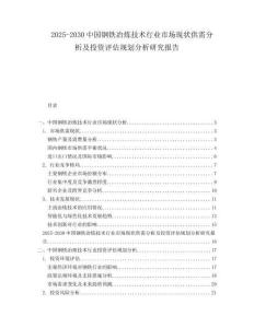 2025-2030中國鋼鐵冶煉技術(shù)行業(yè)市場現(xiàn)狀供需分析及投資評估規(guī)劃分析研究報告