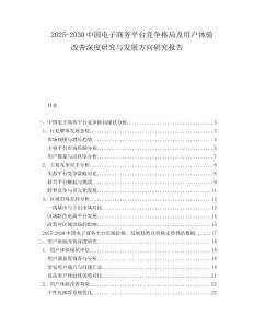 2025-2030中國電子商務(wù)平臺競爭格局及用戶體驗改善深度研究與發(fā)展方向研究報告