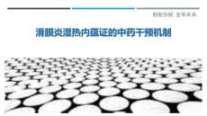 滑膜炎濕熱內(nèi)蘊證的中藥干預(yù)機制