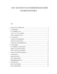 2025-2030南非礦業(yè)行業(yè)市場現(xiàn)狀供需分析及投資評估規(guī)劃分析研究報告