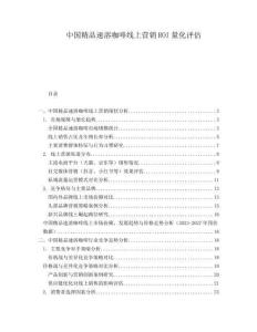 中國精品速溶咖啡線上營銷ROI量化評(píng)估