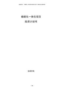 磷煤化一體化項(xiàng)目投資計(jì)劃書