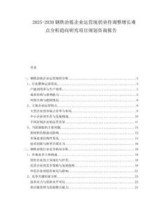2025-2030鋼鐵冶煉企業(yè)運營現(xiàn)狀亟待調(diào)整增長難點分析趨向研究項目規(guī)劃咨詢報告