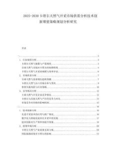 2025-2030卡塔爾天然氣開采市場供需分析技術(shù)創(chuàng)新增量策略規(guī)劃分析研究