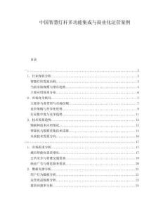 中國智慧燈桿多功能集成與商業(yè)化運營案例