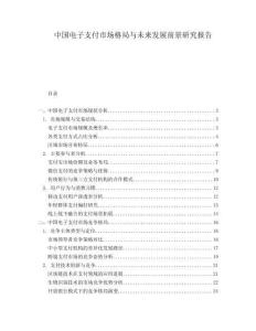 中國(guó)電子支付市場(chǎng)格局與未來(lái)發(fā)展前景研究報(bào)告