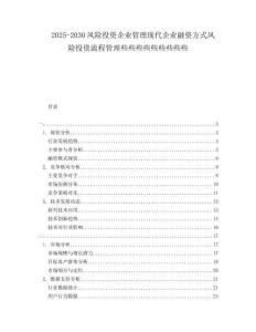 2025-2030風(fēng)險(xiǎn)投資企業(yè)管理現(xiàn)代企業(yè)融資方式風(fēng)險(xiǎn)投資流程管理些些些些些些些些些