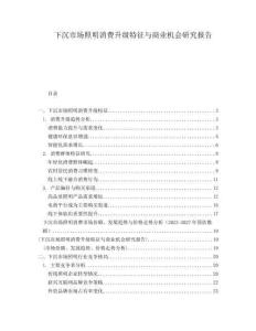 下沉市場照明消費(fèi)升級特征與商業(yè)機(jī)會研究報告
