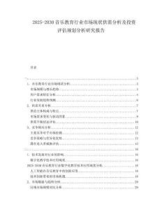 2025-2030音樂教育行業(yè)市場現(xiàn)狀供需分析及投資評估規(guī)劃分析研究報告