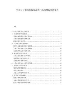中國(guó)云計(jì)算市場(chǎng)發(fā)展現(xiàn)狀與未來增長(zhǎng)預(yù)測(cè)報(bào)告