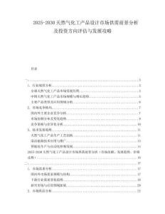 2025-2030天然氣化工產(chǎn)品設(shè)計市場供需前景分析及投資方向評估與發(fā)展攻略