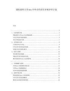 國際商科大學(xué)mba中外合作招生審核評(píng)審計(jì)劃