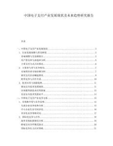 中國電子支付產(chǎn)業(yè)發(fā)展現(xiàn)狀及未來趨勢研究報(bào)告