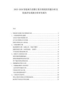 2025-2030智能廣告設(shè)備行業(yè)市場現(xiàn)狀供應(yīng)分析及投資評估規(guī)劃分析研究報(bào)告