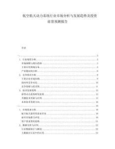航空航天動(dòng)力系統(tǒng)行業(yè)市場(chǎng)分析與發(fā)展趨勢(shì)及投資前景預(yù)測(cè)報(bào)告
