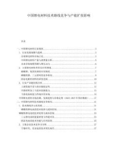 中國(guó)鋰電材料技術(shù)路線競(jìng)爭(zhēng)與產(chǎn)能擴(kuò)張影響