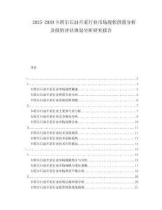 2025-2030卡塔爾石油開采行業(yè)市場現(xiàn)狀供需分析及投資評(píng)估規(guī)劃分析研究報(bào)告