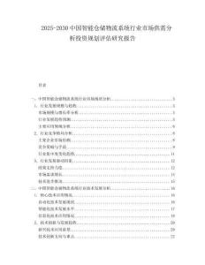 2025-2030中國智能倉儲物流系統(tǒng)行業(yè)市場供需分析投資規(guī)劃評估研究報告