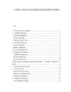 中國電子競技行業(yè)市場現(xiàn)狀及商業(yè)化路徑分析報告