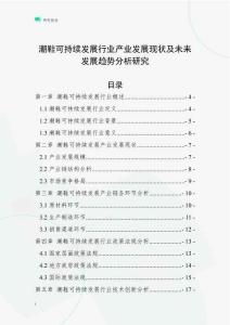 潮鞋可持續(xù)發(fā)展行業(yè)產(chǎn)業(yè)發(fā)展現(xiàn)狀及未來發(fā)展趨勢分析研究