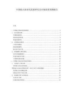中國航天商業化發展研究及市場前景預測報告