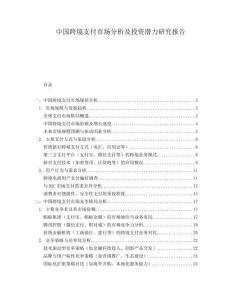 中國跨境支付市場分析及投資潛力研究報(bào)告