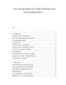 2025-2030委內(nèi)瑞拉石油產(chǎn)業(yè)數(shù)字化轉(zhuǎn)型技術(shù)改造項(xiàng)目投資規(guī)劃分析報(bào)告
