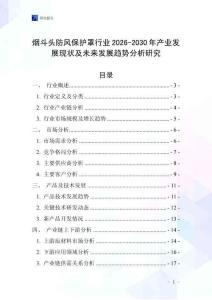 煙斗頭防風保護罩行業2026-2030年產業發展現狀及未來發展趨勢分析研究