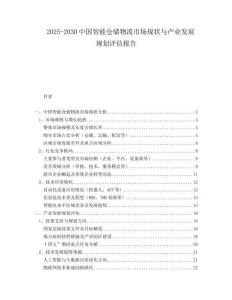 2025-2030中國智能倉儲物流市場現(xiàn)狀與產(chǎn)業(yè)發(fā)展規(guī)劃評估報告