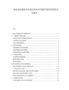 海水淡化膜技術(shù)市場(chǎng)分析技術(shù)突破市場(chǎng)前景投資評(píng)估報(bào)告