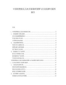 中國消費級無人機市場飽和預警與行業(yè)洗牌可能性報告