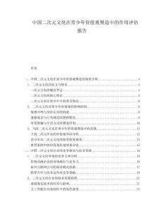 中國二次元文化在青少年價值觀塑造中的作用評估報(bào)告