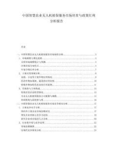 中國智慧農(nóng)業(yè)無人機植保服務市場培育與政策紅利分析報告