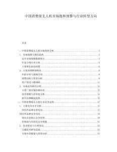 中國消費級無人機市場飽和預警與行業(yè)轉型方向