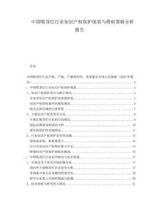 中國吸頂燈行業(yè)知識產(chǎn)權(quán)保護(hù)現(xiàn)狀與維權(quán)策略分析報告
